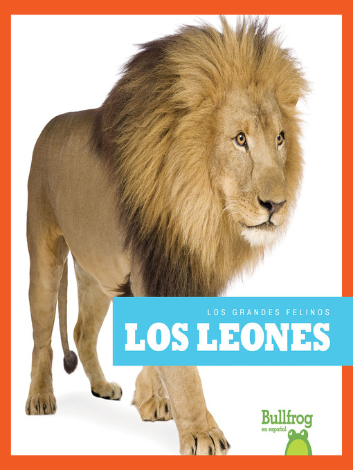 Cover image for book: Los leones (Lions)